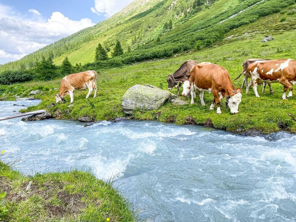 Can You Drink Water From a Mountain Lake or Stream? Hiking Guide