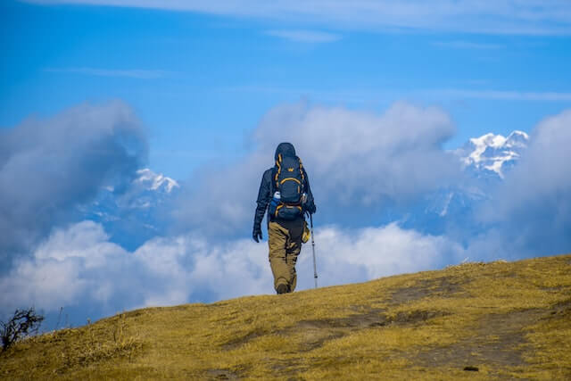 What are the best hiking pants?