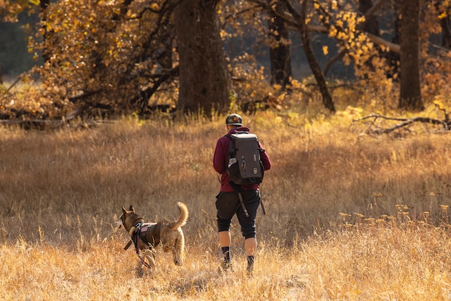 How should hiking pants fit length?