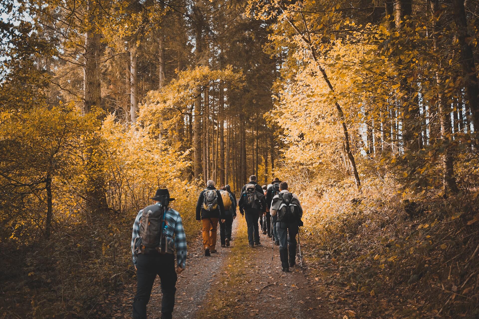 Are zip off pants good for hiking?