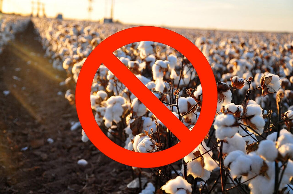 Why cotton is the invisible killer in hiking - Cycorld